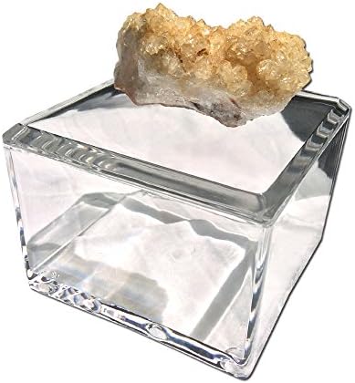 Ковчег за бижута от скъпоценни камъни Queen ' s Lane с Прозрачен капак-Държач за Пръстени или скъпоценни камъни