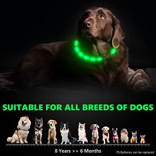 Светещи Нашийници за кучета, Led Нашийник за сигурност на домашни животни в тъмното, Водоустойчива Акумулаторна батерия Нашийник за кучета, Регулируем Размер, подходящ за повечето кучета, 3 режима на осветление, Куче