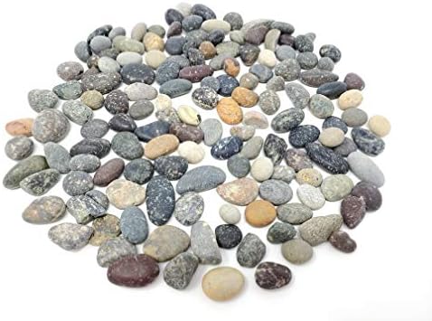 Capcouriers Малки речни камъни (обикновен) - Естествени камъни на водолея - Декоративен чакъл - Гладки камъни - Около 0,5 - 0,75 инча - 2 кг